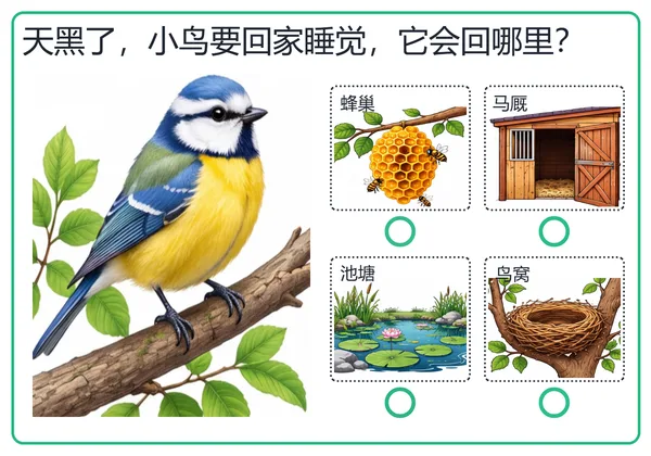 动物住哪里卡片:小鸟回家选鸟窝
