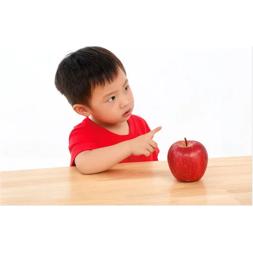 这是什么
