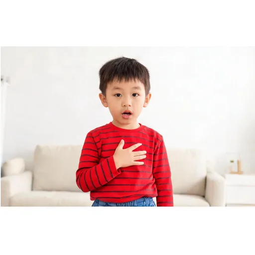A03 我叫贝贝
